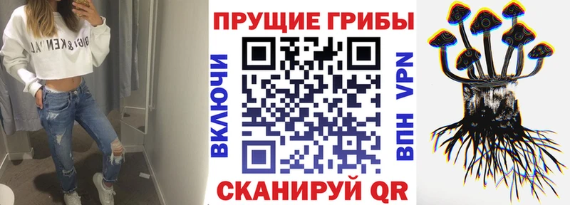Псилоцибиновые грибы Magic Shrooms  Щучье 