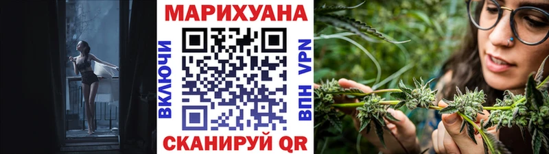 магазин продажи наркотиков  Щучье  Шишки марихуана сатива 